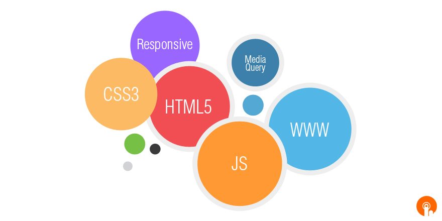 Web Desinger Role