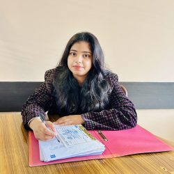 Accountant